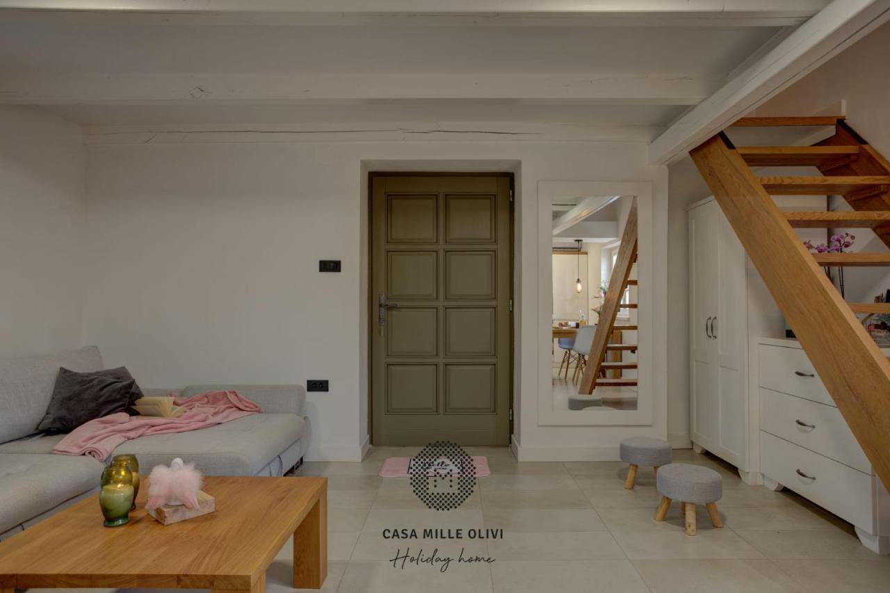 Casa Mille Olivi Villa Buzet Exteriör bild