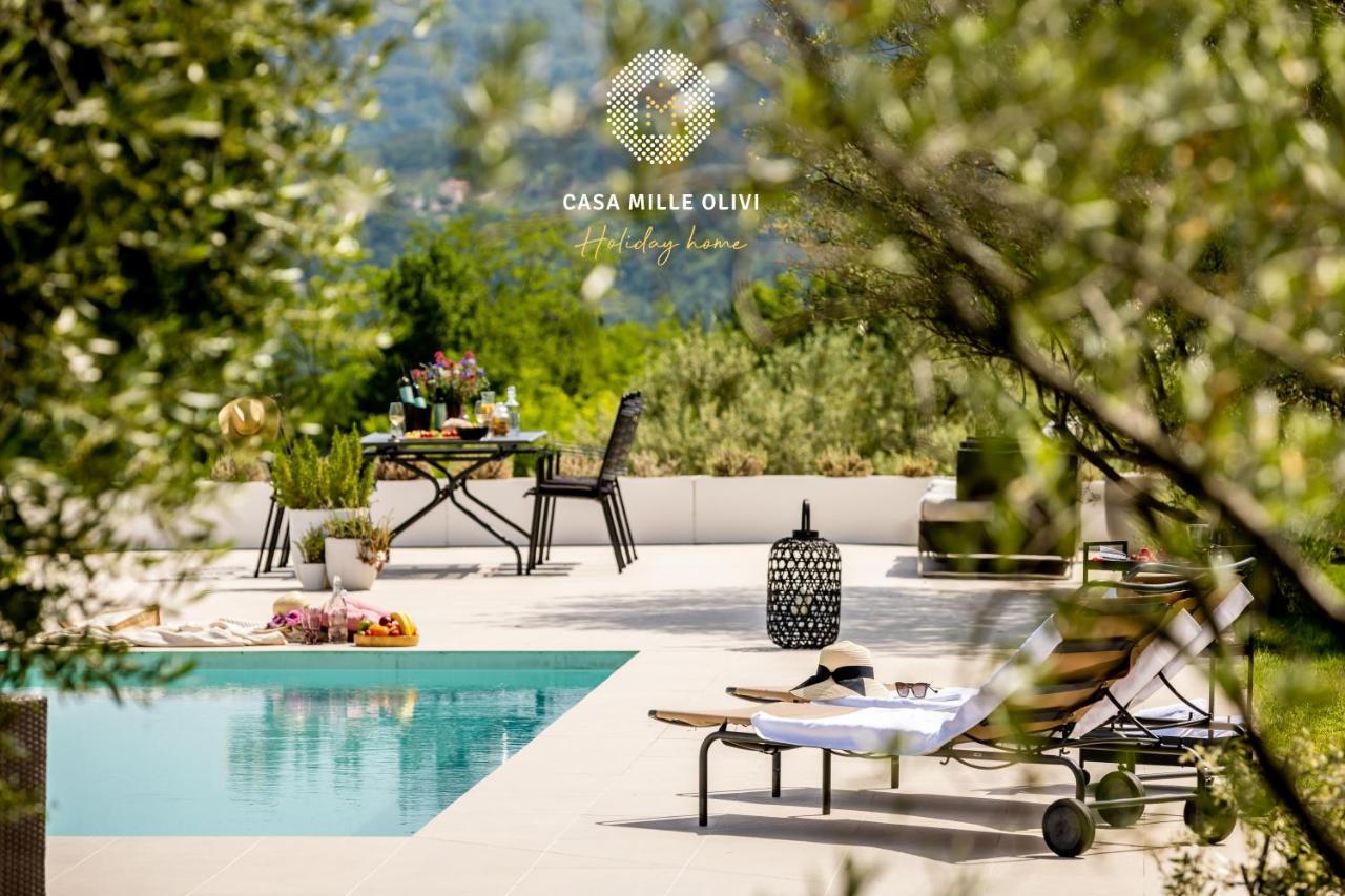 Casa Mille Olivi Villa Buzet Exteriör bild